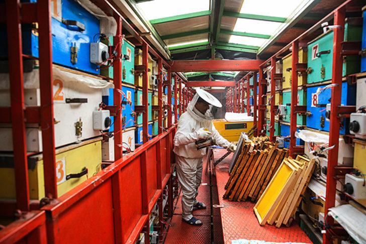 Tırda doğal bal üretiyor G3