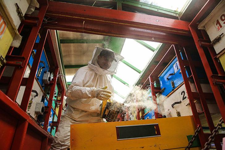 Tırda doğal bal üretiyor G4