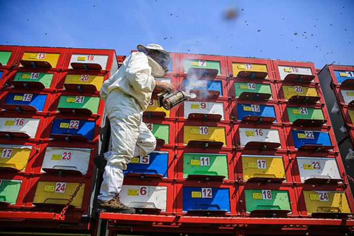 Tırda doğal bal üretiyor G5