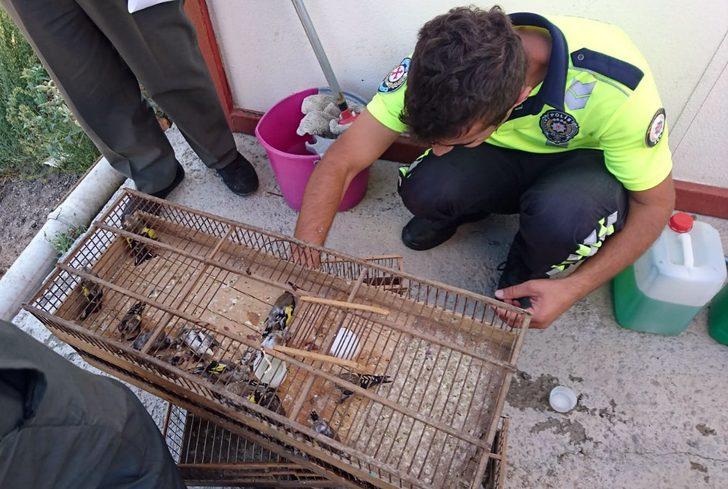Saka ve florya kuşlarını yakaladı, 132 bin lira ceza yedi G3