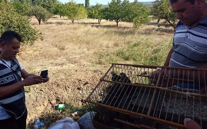 Saka ve florya kuşlarını yakaladı, 132 bin lira ceza yedi G1