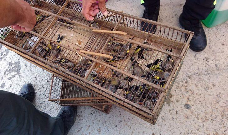 Saka ve florya kuşlarını yakaladı, 132 bin lira ceza yedi G2