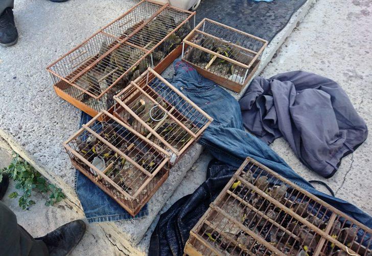 Saka ve florya kuşlarını yakaladı, 132 bin lira ceza yedi G4