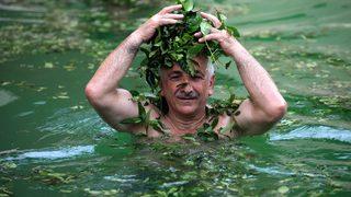 Termal havuzda yeşil çay banyosu yapıyorlar