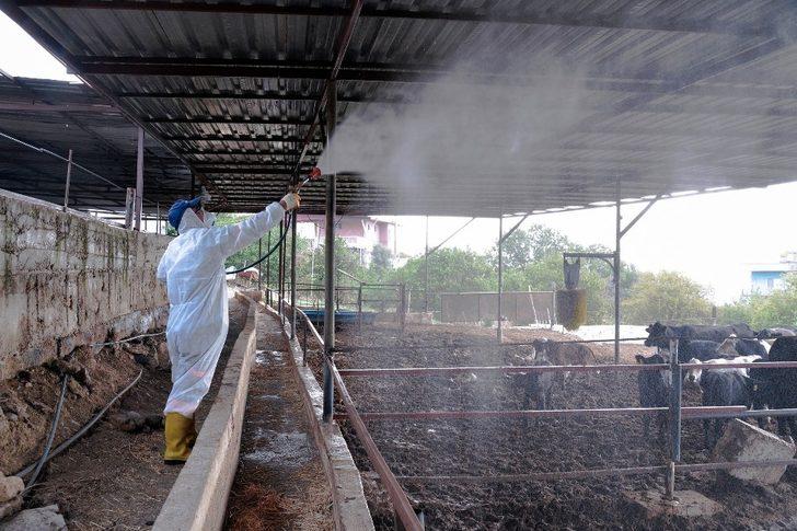 Tarım ve hayvancılık yapılan alanlar aralıksız ilaçlanıyor G1