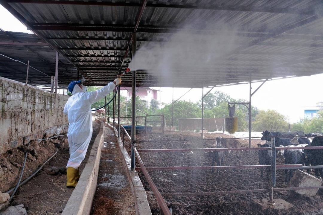 Tarım ve hayvancılık yapılan alanlar aralıksız ila&ccedil;lanıyor