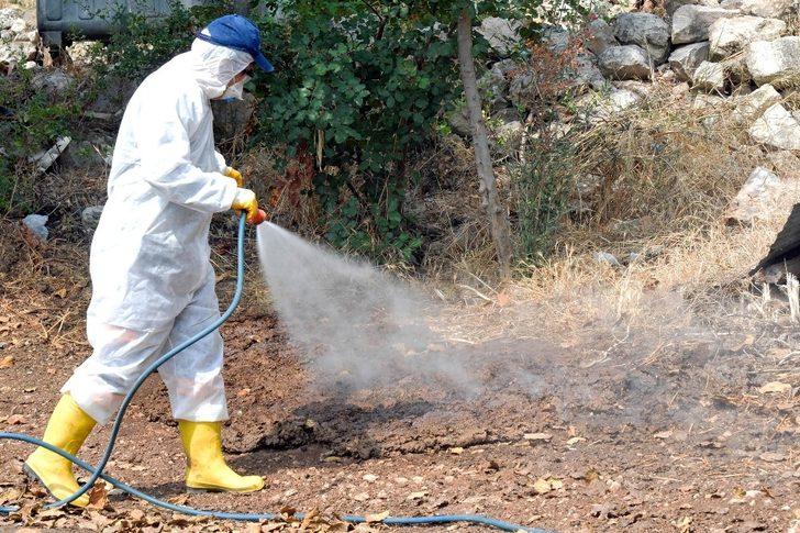 Tarım ve hayvancılık yapılan alanlar aralıksız ilaçlanıyor G2