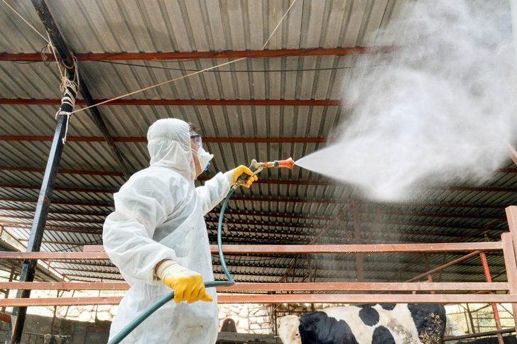 Tarım ve hayvancılık yapılan alanlar aralıksız ilaçlanıyor G3