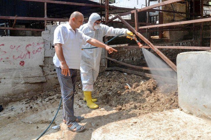 Tarım ve hayvancılık yapılan alanlar aralıksız ilaçlanıyor G4