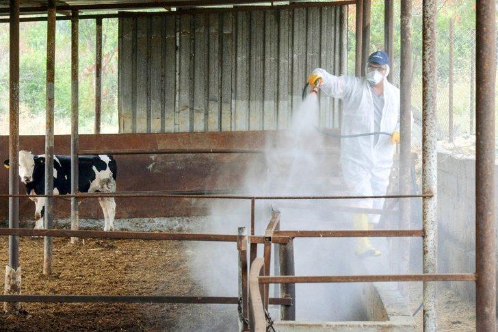 Tarım ve hayvancılık yapılan alanlar aralıksız ilaçlanıyor G5