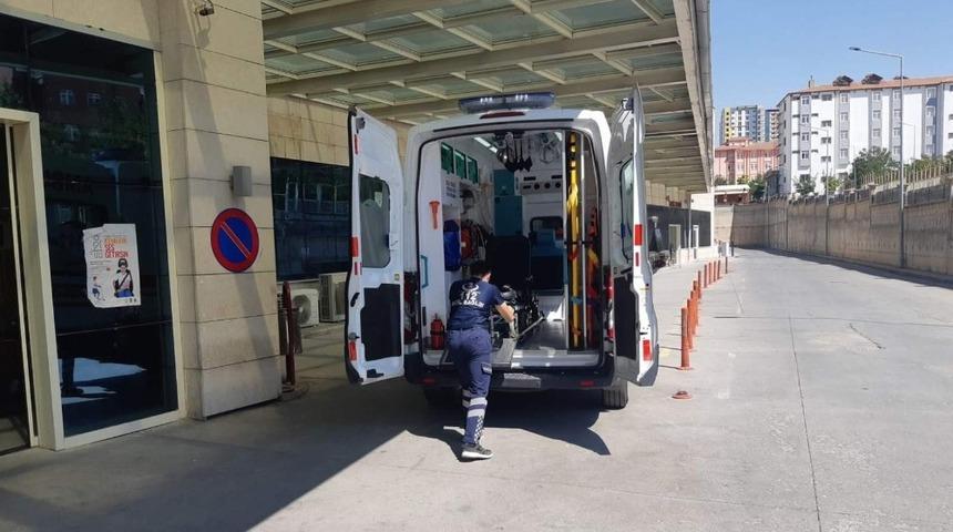Siirt&rsquo;te ağa&ccedil;tan d&uuml;şen şahıs yaralandı