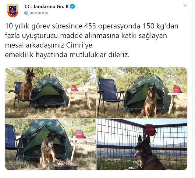 Narkotik köpeği 'Cimri'ye sosisli emeklilik kutlaması