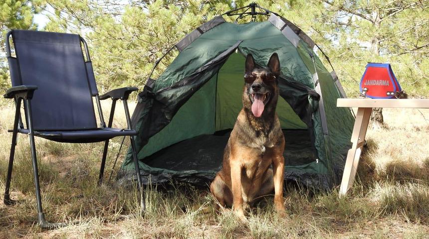Narkotik k&ouml;peği 'Cimri'ye sosisli emeklilik kutlaması