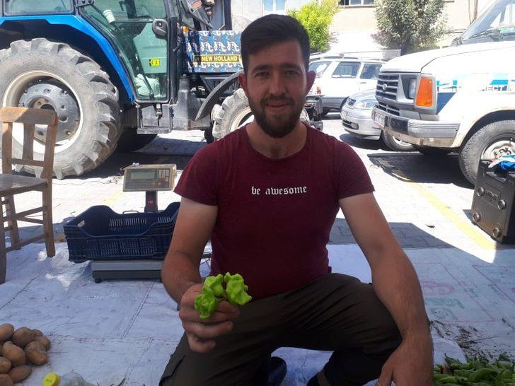 Gül Biberi' tezgâhların gözdesi! İlk kez üretildi G2