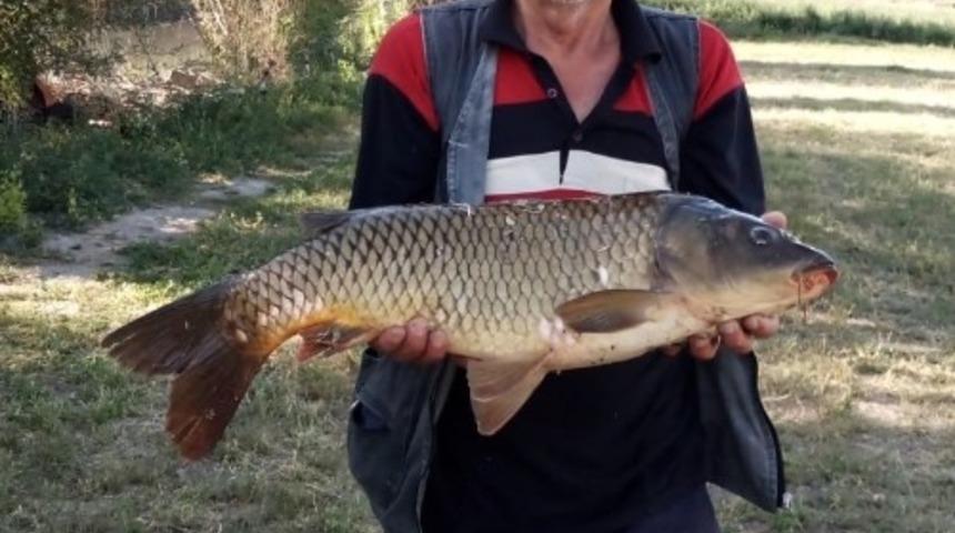 Porsuk&rsquo;ta balık bereketi