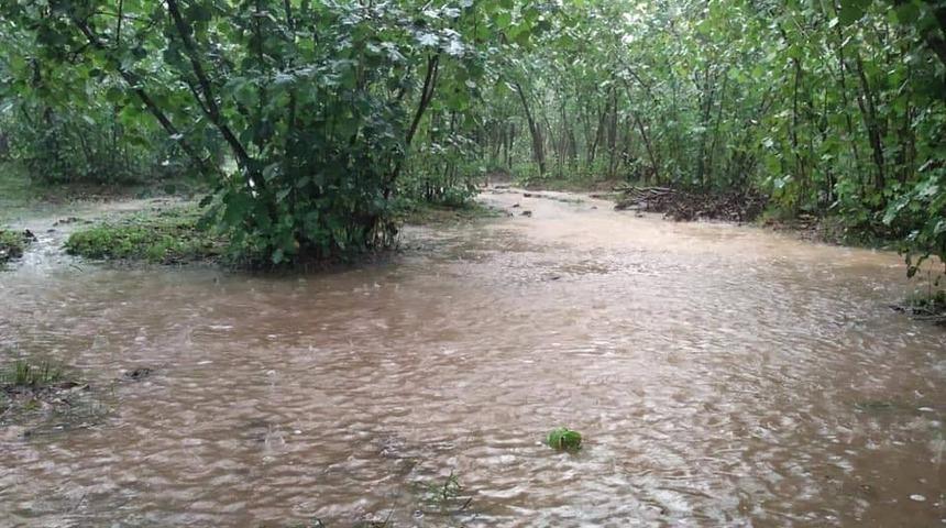 Üreticilere şiddetli yağış uyarısı