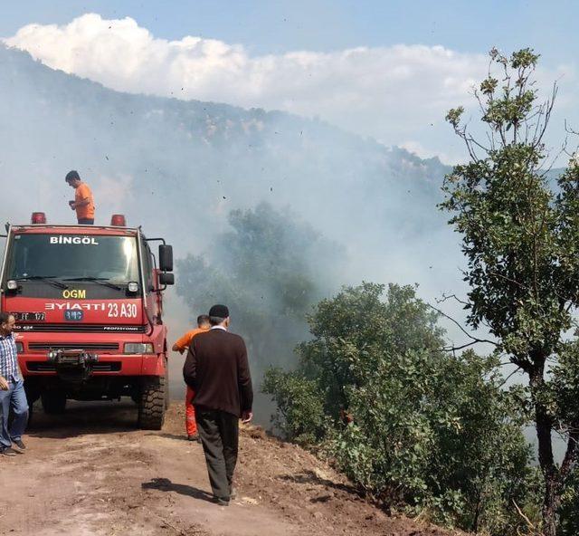 Bingöl’de orman  yangını söndürüldü