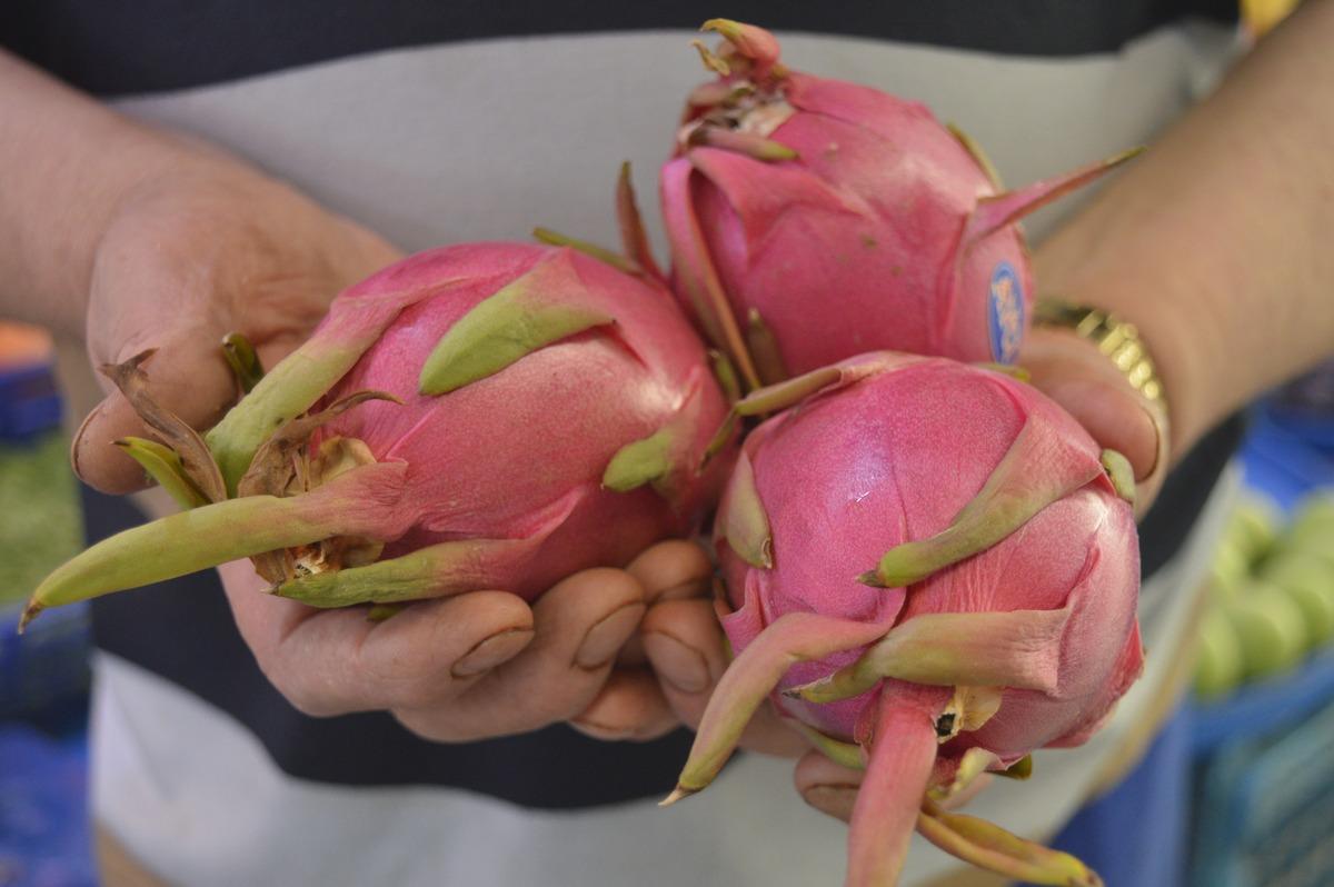 Son zamanların g&ouml;zde meyvesi: Ejder meyvesi hem g&ouml;r&uuml;nt&uuml;s&uuml; hem de faydalarıyla şaşırtıyor