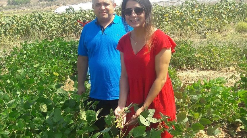 PA&Uuml;&rsquo;de soya fasulyesiyle ilgili &ouml;n verim &ccedil;alışmalarına başlandı