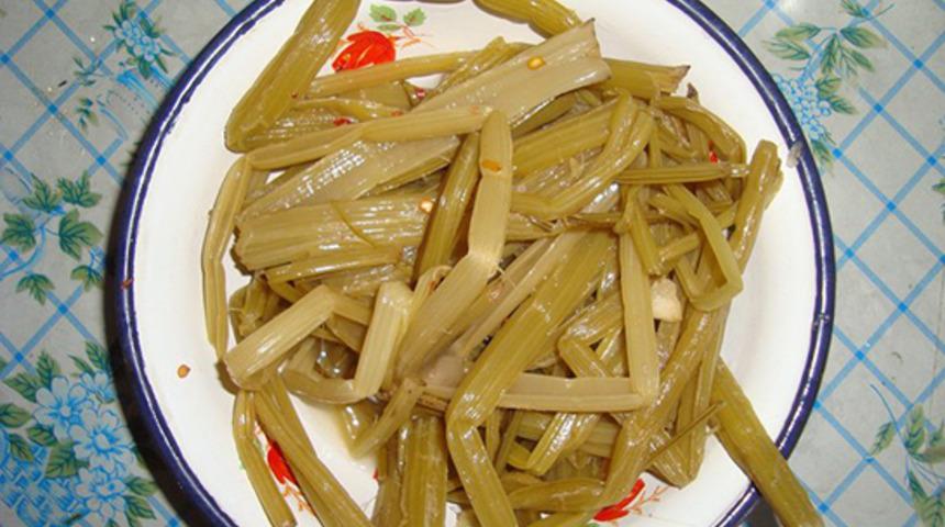 Pancarın Sapındaki Mucize: Pezik Nedir, Hangi Hastalıklara İyi Gelir?