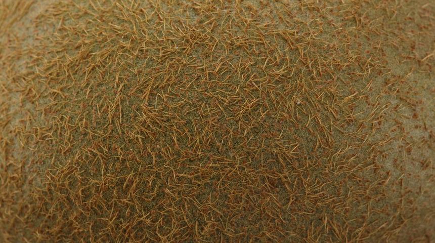 Kabuğuyla beraber yemeniz gereken 10 meyve ve sebze