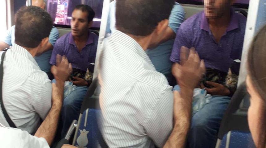 Bacaklarını bağladığı kediyi kemerine takıp, otobüse bindi