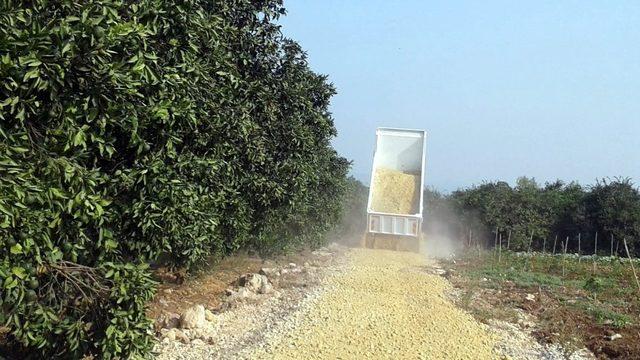 Akdeniz Belediyesi, üreticiler için yeni tarım yolları açıyor