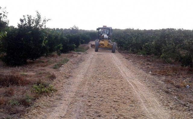 Akdeniz Belediyesi, üreticiler için yeni tarım yolları açıyor