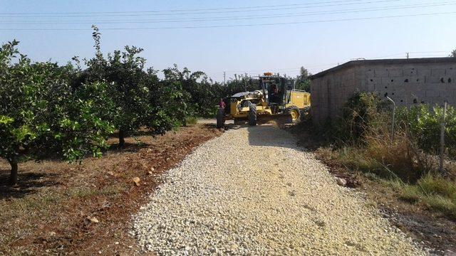 Akdeniz Belediyesi, üreticiler için yeni tarım yolları açıyor