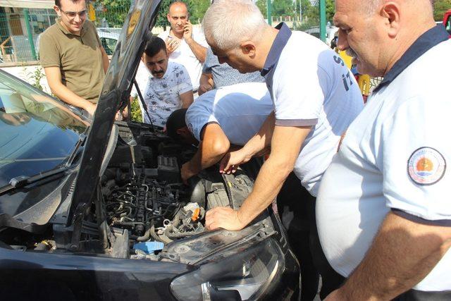 Çarşamba’da kedi kurtarma operasyonu