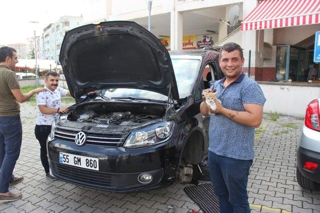 Çarşamba’da kedi kurtarma operasyonu