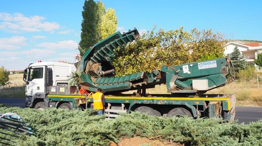 Ankara B&uuml;y&uuml;kşehir&rsquo;den ağa&ccedil; hassasiyeti