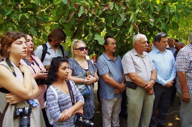 Bademli'de yerli ceviz hamlesi