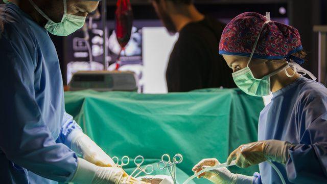 Mucize Doktor konusu nedir, oyuncuları kimler? Mucize Doktor hangi yabancı dizi uyarlaması?