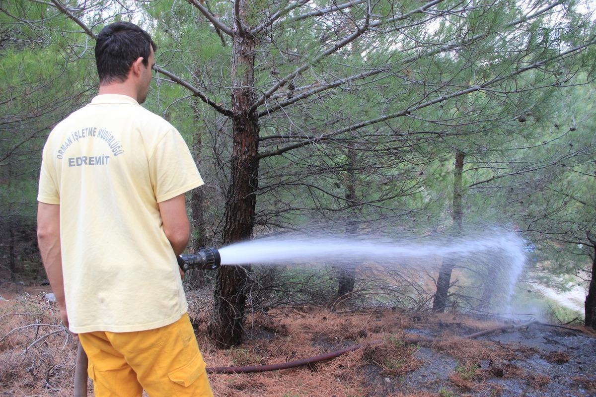 Kazdağları'nda orman yangını! Hemen m&uuml;dahale edildi
