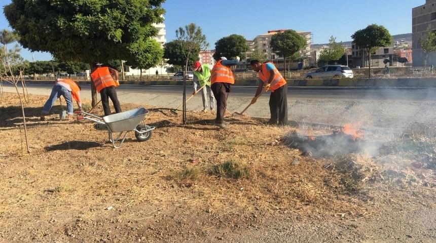 Bulvarların ve ref&uuml;jlerin bakımları yapılıyor