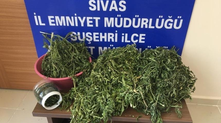 Suşehri&rsquo;nde uyuşturucu operasyonu