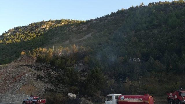 Kargı’da orman yangını