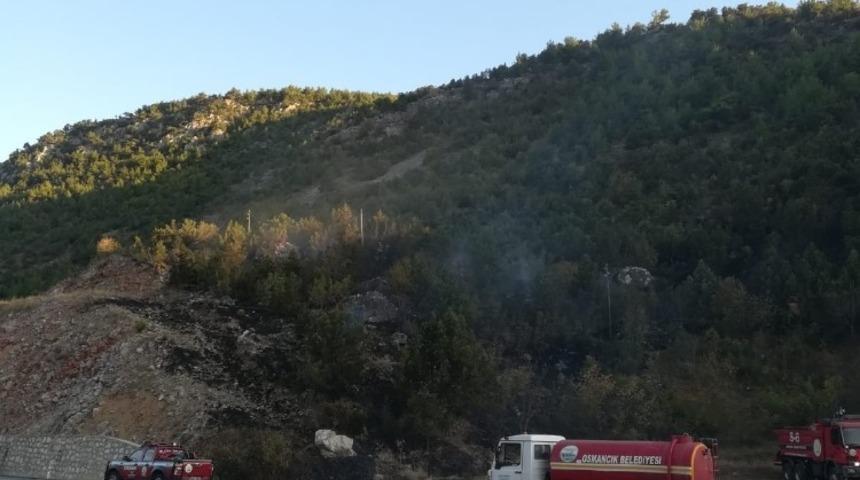 Kargı&rsquo;da orman yangını