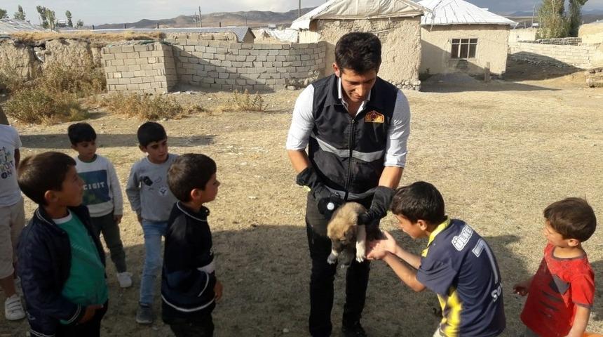 Kuyuda mahsur kalan yavru köpekler kurtarıldı