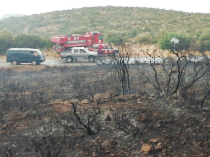 Yıldırım Çeşme’de yangına yol açtı G1