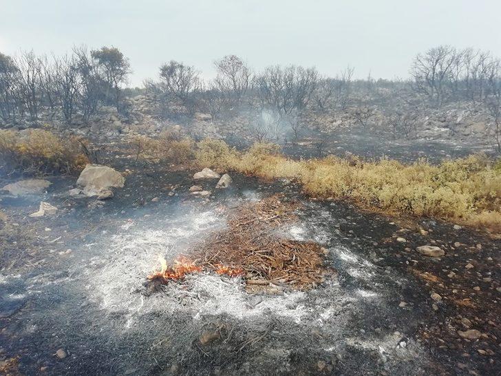 Yıldırım Çeşme’de yangına yol açtı G2