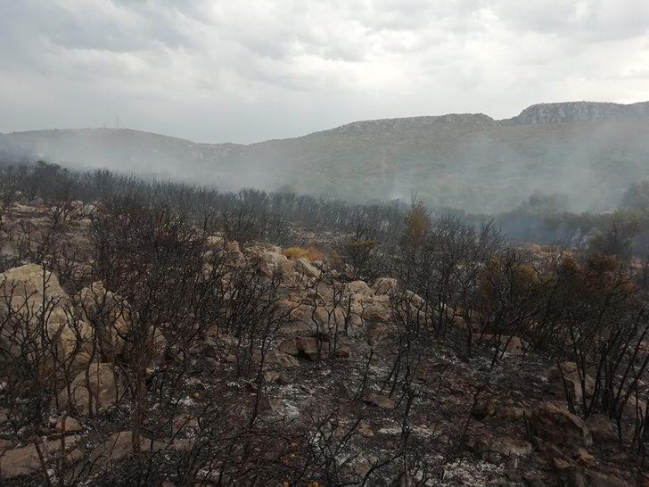 Yıldırım Çeşme’de yangına yol açtı G4
