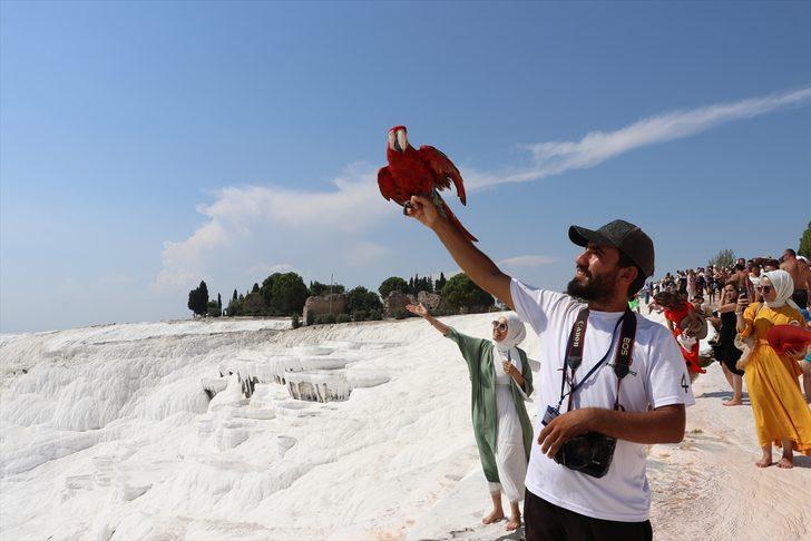 Pamukkale rekor kırdı! Turist sayısında geçen yıla göre yüzde 25 artış G3