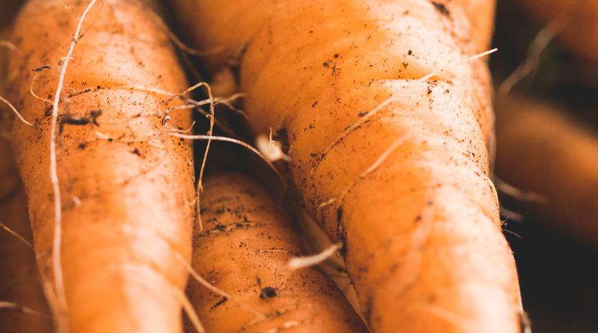 Havucu çiğ tüketin! Sonbaharda hangi ayda hangi sebze ve meyve yenmeli? İşte mevsim yiyecekleri ve faydaları