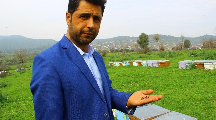 Aydınlı arıcıya ceza şoku