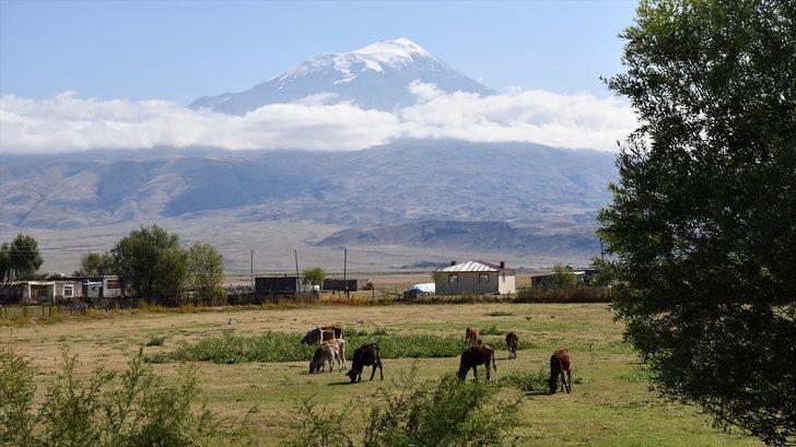 Türkiye'nin çatısı beyaza büründü G3
