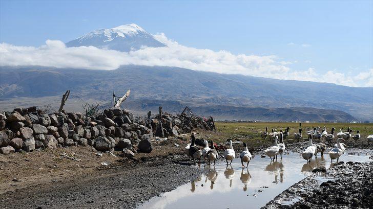 Türkiye'nin çatısı beyaza büründü G5
