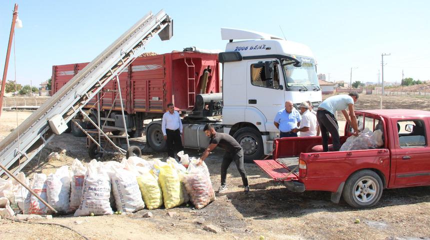 Karaman’da ıskarta elma alım fiyatları yüz güldürüyor