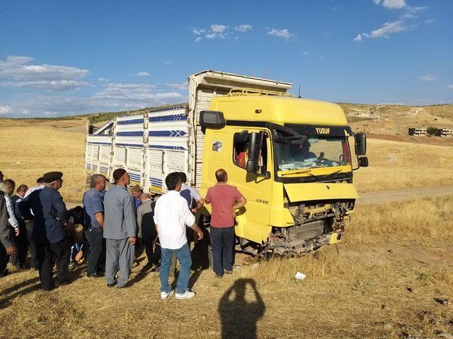 Siirt’te trafik kazasında 2’si ağır 4 kişi yaralandı